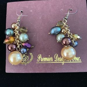 Premier Designs Earrings